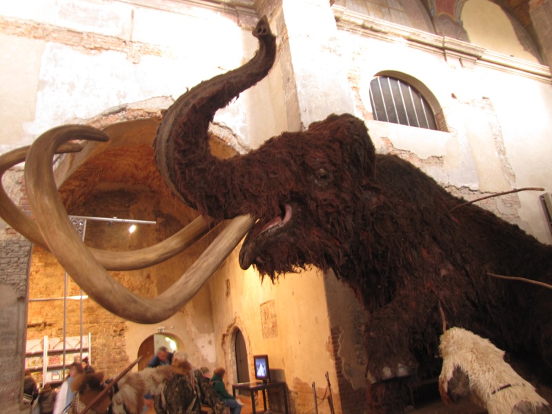 mamut2